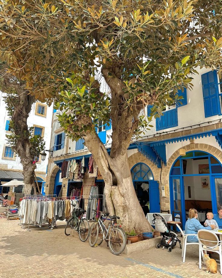 Essaouira, Morocco 🇲🇦