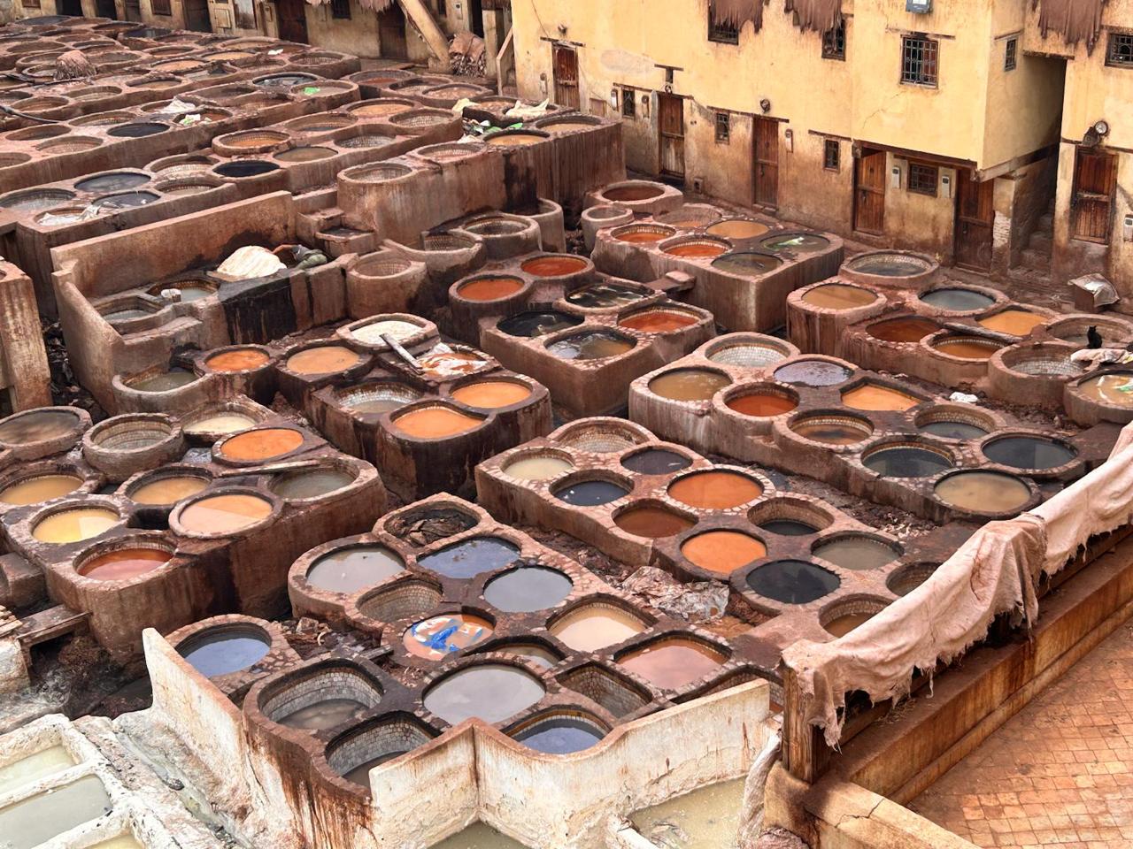 WhatsApp Image 2026-03-18 at 23.19.15