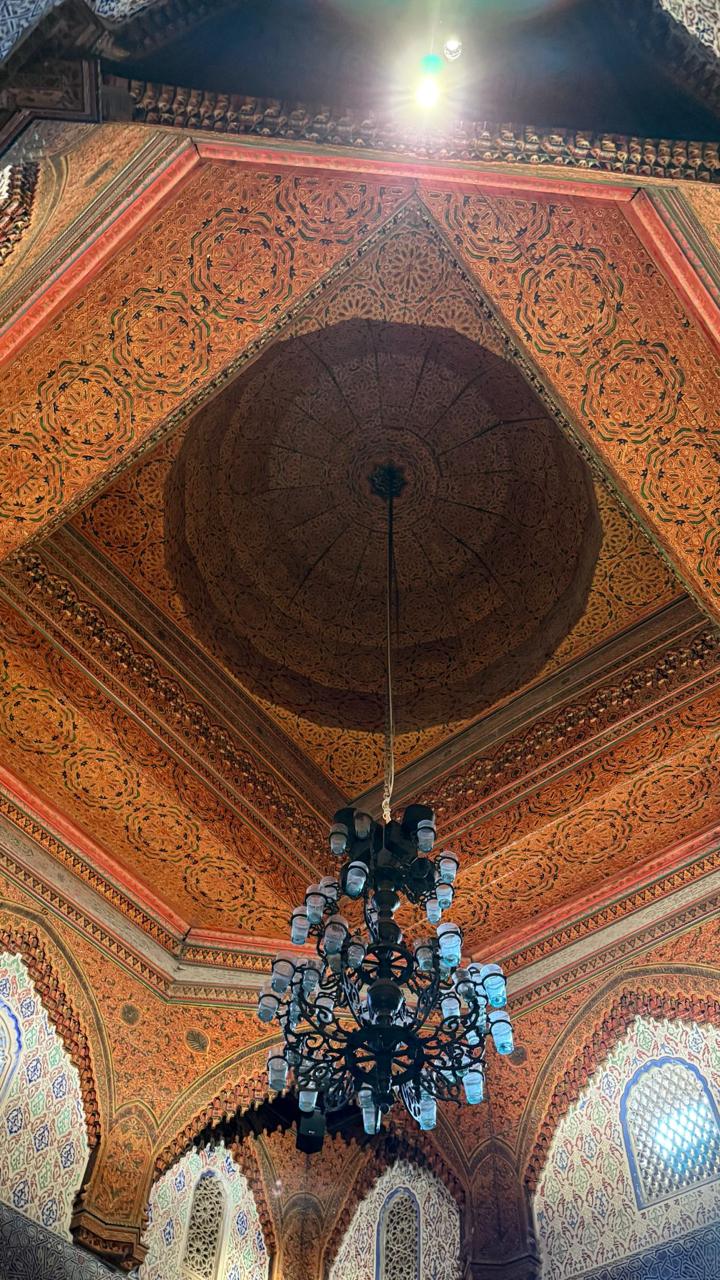 WhatsApp Image 2026-03-18 at 23.19.16 (2)