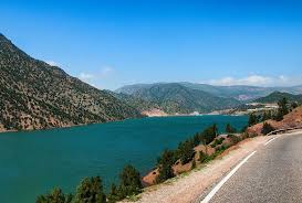 images (52)