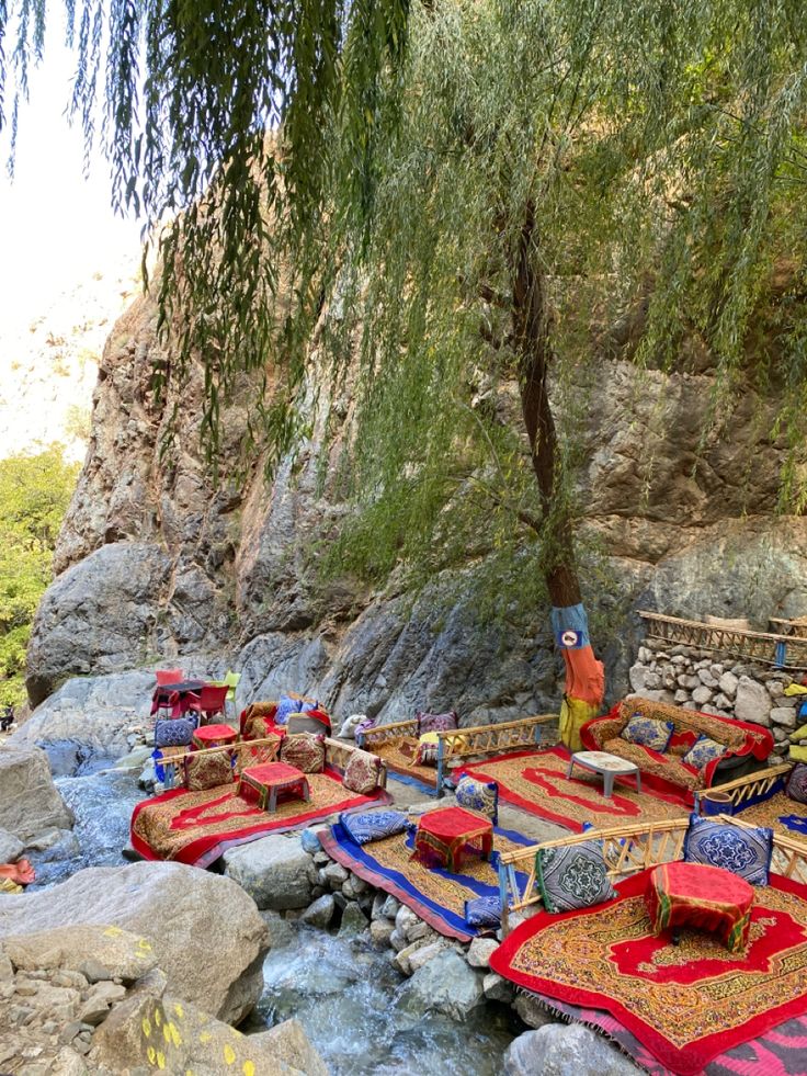 téléchargement (41)